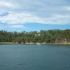 sydney_2006_98_20070320_1136949515